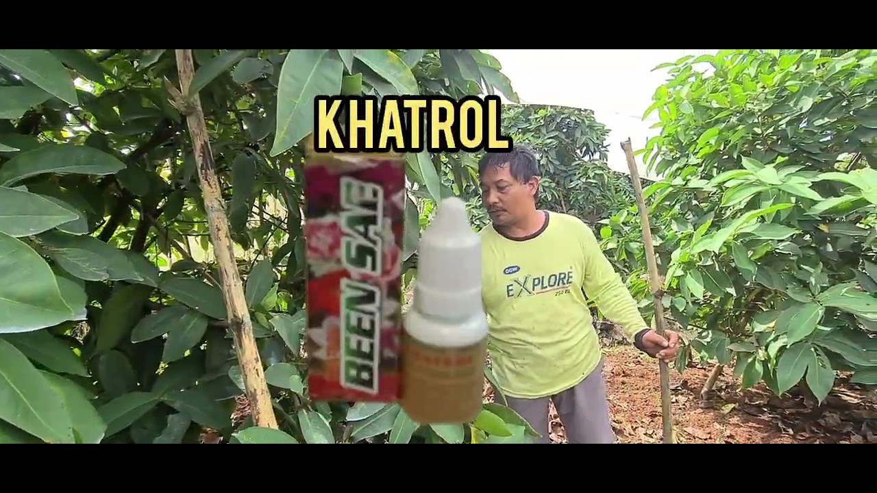 Petani Jambu Wajib Tahu KHATROL Dilapangan 