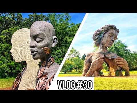 The Morton Arboretum | Human + Nature Exhibit