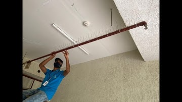 How to get rid of pigeon with Bird spikes installation bird netting solution