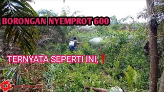 Borongan 600 2 hektar spot begini..😱 #sprayer #powersprayer #tanos