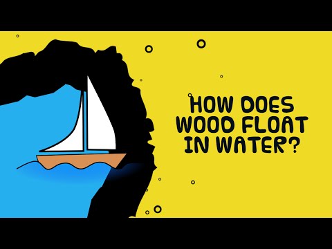 Interesting Scientific Fact About Floating Woods | How Do Wood Float In Water