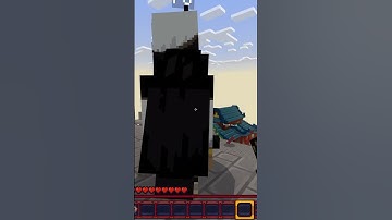 Real Po in Minecraft Kung Fu Panda