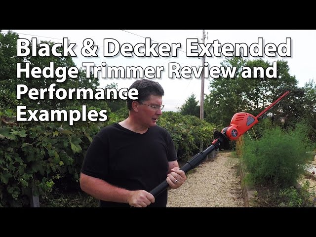 Black and Decker Hedge Trimmer Review 