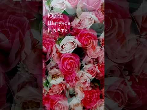 Юрий Шатунов - Цветы 🌺 🌺 🌺 #юрийшатунов #светлаяпамять
