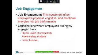 Organizational Behavior Week 4 Video Post