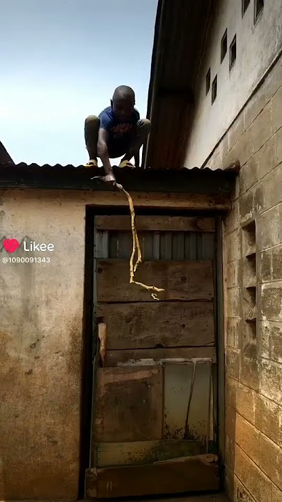 binadamu🤣