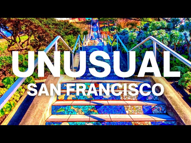 Top 10 Unusual Things To Do In San Francisco You Must Visit Secret World