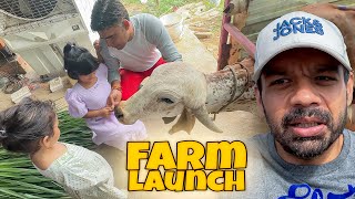 Finally Farm Launch Announced