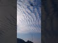 하늘을 보면 마음이 시원해진다 #korea #shorts