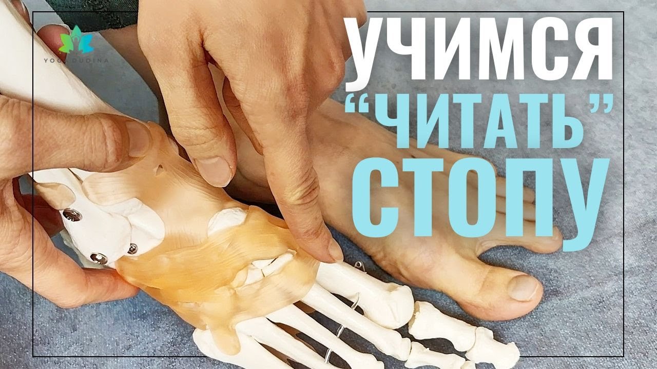 Внешний ВИД СТОПЫ - что СКРЫТО внутри? Пальпаторная анатомия стопы