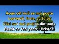 Acum cât încă se mai poate - Karaoke (Full HD)