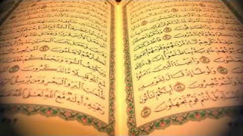 سورة الفجر بصوت الشيخ ناصر القطامي   سورة الفجر ناصر القطامي