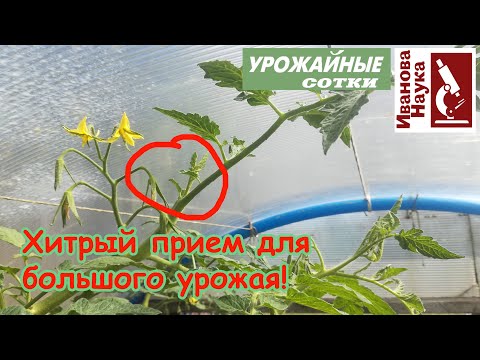 Этот СЕКРЕТ самого