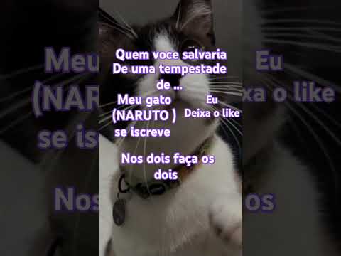 O apeludo tá