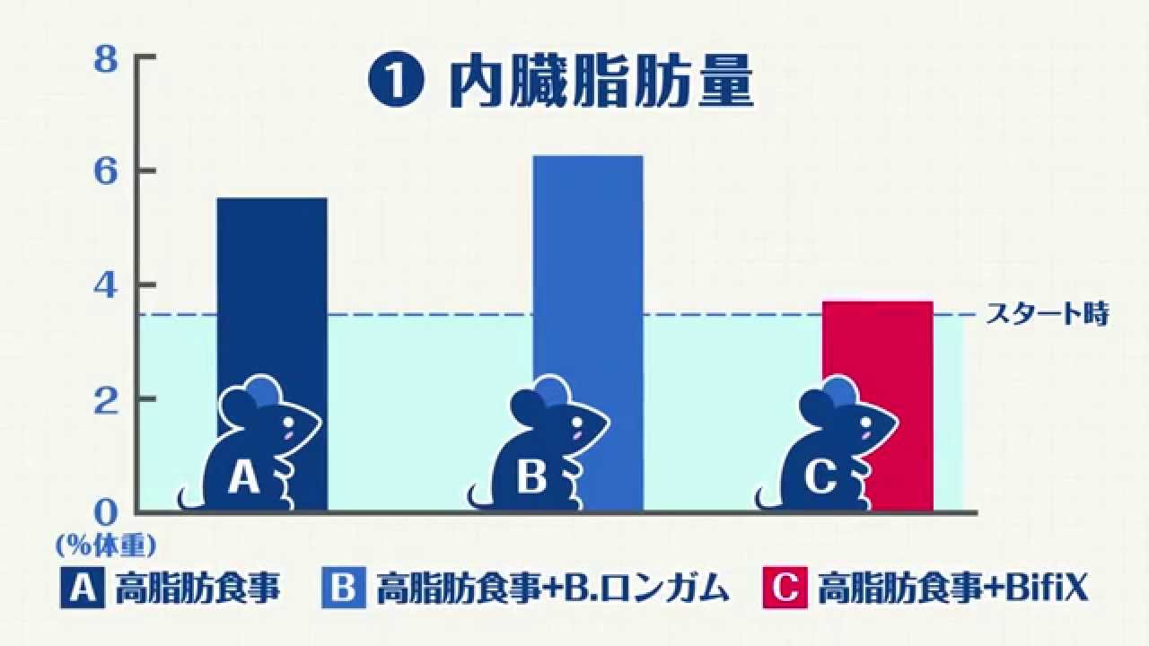 ビフィズス菌 Bifix ビフィックス メタボ抑制効果の研究 4分50秒 グリコ Youtube