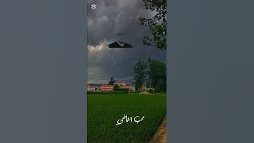 تلاوة تريح القلب #القران_الكريم #اكسبلور #المنشاوي #راحه_نفسيه #القارء #لايك #دويتو #تلاوه