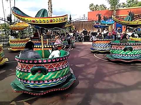 Knotts berry farm hat dance - YouTube