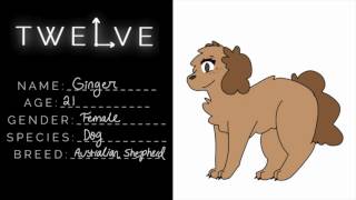 TWELVE *Final Casting Call*//Audition