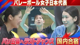 【パリへのラストチャンス】バレーボール女子日本代表 チーム合宿スタート！【5月16日開幕！ネーションズリーグ】