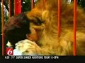 Lion hugs a woman