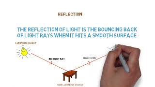 Reflection(How do we see objects)