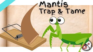 How To Tame A Mantis & Mantis Traps Scorched Earth Ascended