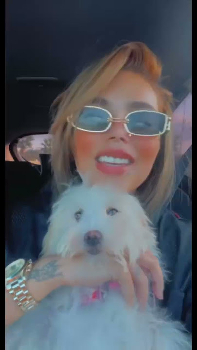 Love me like do luna #bichonfrise #bichon #dog #love #deniz