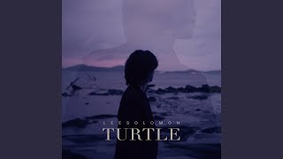 Turtle (거북이)