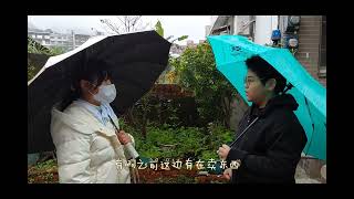瑞柑國小