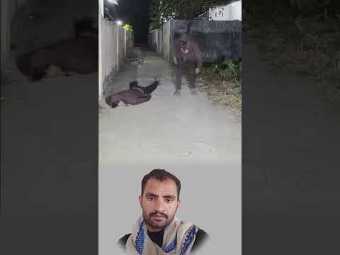 حين يخرج الجن من الجسد تبقى الروح منهكة تبحث عن السكينة اكسبلور لايك دويتو