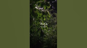 تلاوة هادئة تريح الأعصاب😴🎧 القارئ: رعد الكردى سورة: الأعراف 💙❤