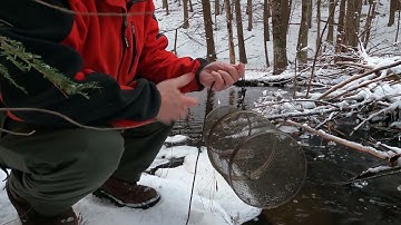 Trapping Bait for Ice Fishing - Setting a Minnow Trap