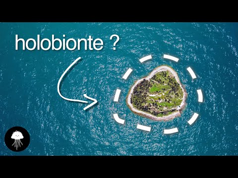 Cette île est-elle "vivante" ? - DBY #90