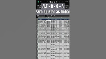 Domine o Excel: Atalhos Alt + COA e Alt + COT para Ajuste Automático de Linhas e Colunas! #excelbr