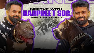 Kya bully👹 attack krdega? 🤝meetup with @HarpreetSDC Part 1 by Aman and Bully 119,896 views 4 months ago 12 minutes, 37 seconds