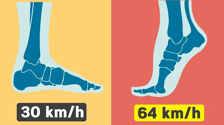 How Fast Can Humans Theoretically Run?