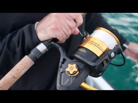 Best Spin Reel Penn Spinfisher V 