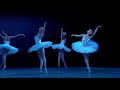 Swan lake  dance of the big swans  act 2 mariinsky ballet