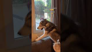 Bu Nasıl Sevgi 🥹