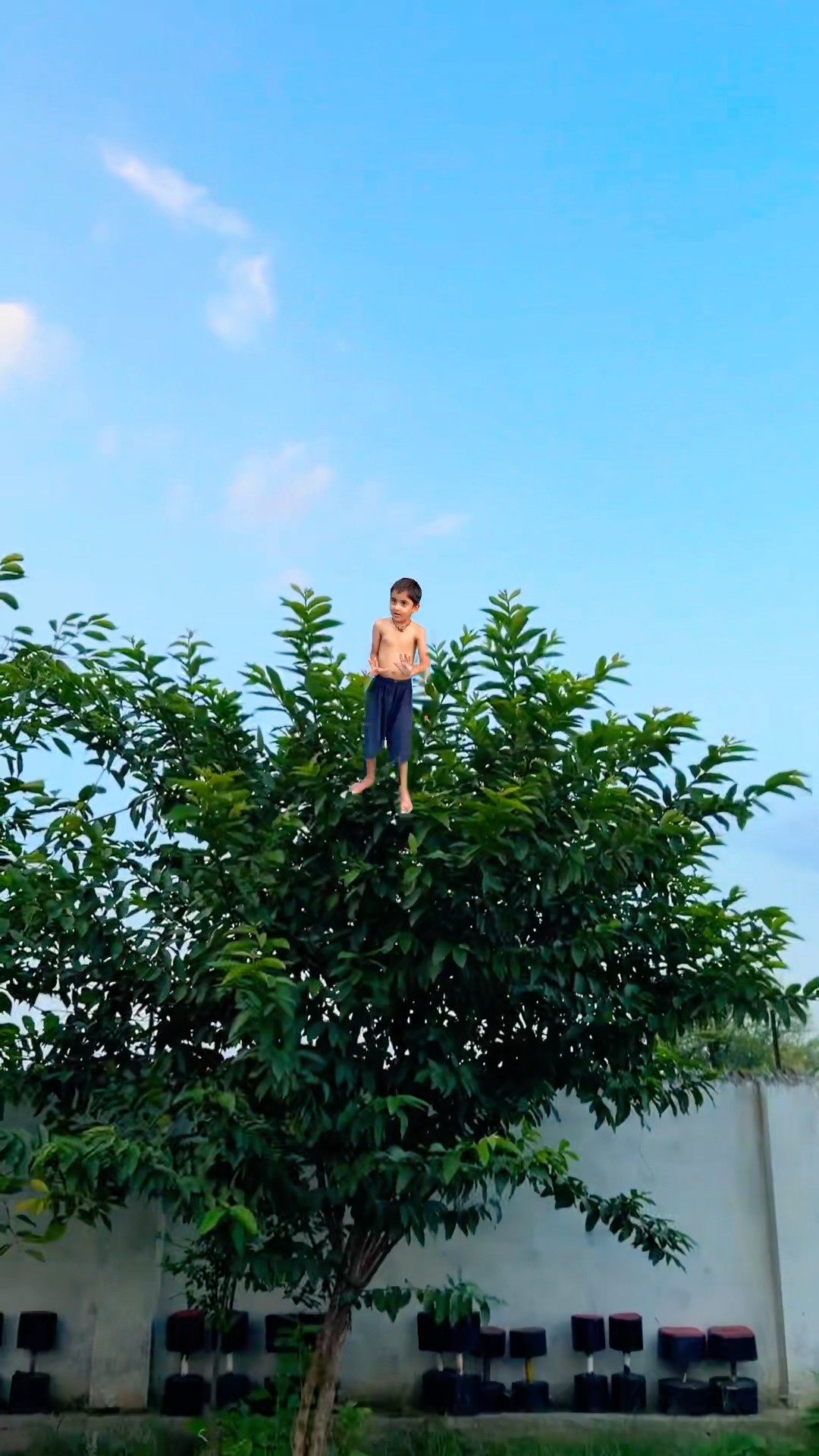 Wait For Twist ??? #shortvideo #funny #comedy