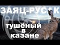 ЗАЯЦ-РУСАК, ТУШЁНЫЙ В КАЗАНЕ. ЗАКРЫТИЕ СЕЗОНА ОХОТЫ В КБР.