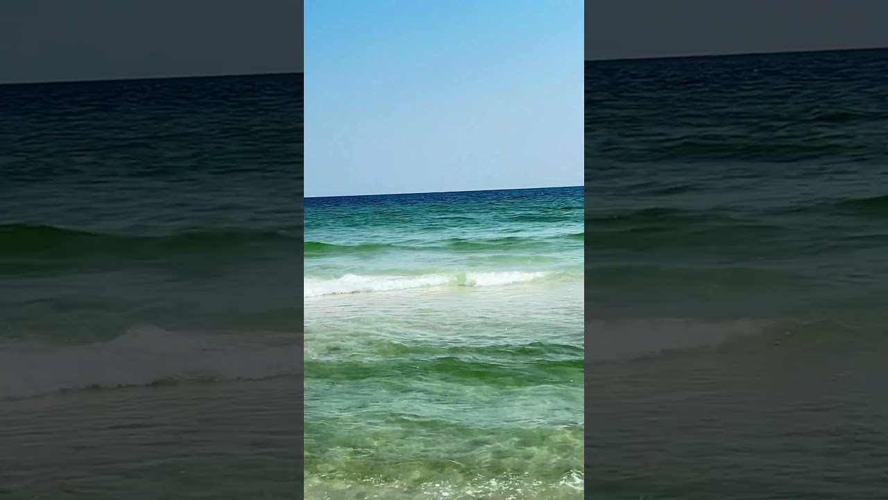 You Wish You Were Here At The Beach 