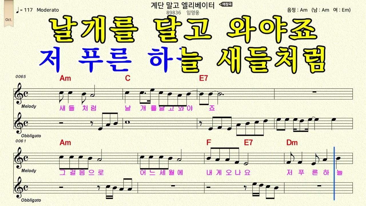 임영웅 - 계단 말고 엘리베이터 MR