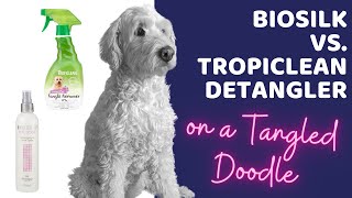 Biosilk vs. Tropiclean Dog Detangler Spray on a Tangled Doodle by Doodle Doods 10,297 views 2 years ago 5 minutes, 40 seconds