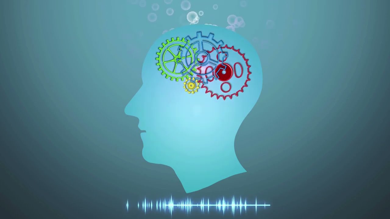 Navigating the Matrix Duality