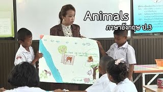 ภาษาอังกฤษ ป.3 Animals ครูอนงค์พร ชัยสุข