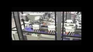 Massman Automation HFS IM Flexible Pouch Packager