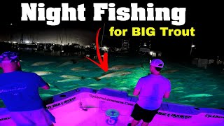 Night Fishing for BIG Trout in Galveston! Father & Son Fishing