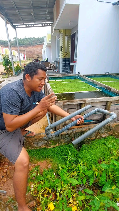 Solusi Pembuangan Kolam Terpal Tanpa Bolongin Terpal