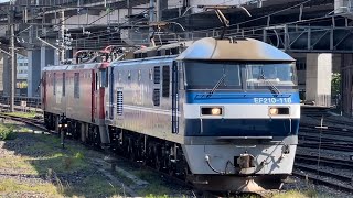 【EH500-56  OM入場無動回送（全検）】JR貨物EF210形118号機（新塗装）＋ムドJR貨物EH500形56号機が大宮駅13番線到着するシーン（単8283レ・鶴臨A991A）2024.6.5